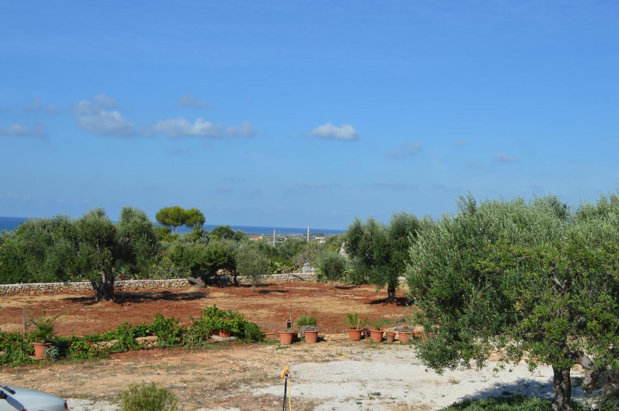 Villa Bella Vista Vip By Salento Prime Marina Di Pescoluse Eksteriør bilde
